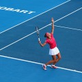 Wickmayer v Peer gallery