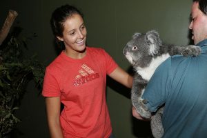 HOBART, AUSTRALIA - JANUARY 05:  Laura Robson of Great Britain poses with a Koala on a visit to Bonorong Wildlife Sanctuary during day two of the Hobart International at Domain Tennis Centre on January 5, 2013 in Hobart, Australia.  (Photo by Mark Metcalfe/Getty Images)