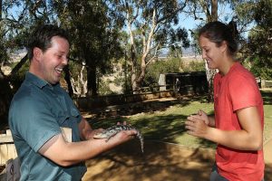 HOBART, AUSTRALIA - JANUARY 05:  Laura Robson of Great Britain touches a Bluetongue Lizard on a visit to Bonorong Wildlife Sanctuary during day two of the Hobart International at Domain Tennis Centre on January 5, 2013 in Hobart, Australia.  (Photo by Mark Metcalfe/Getty Images)