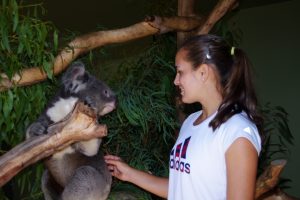 Monica Puig meets a koala at Bonorong Wildlife Sanctuary. Pictures: Casey Gardner